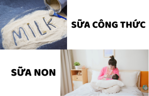 sua non hay sua cong thuc 2